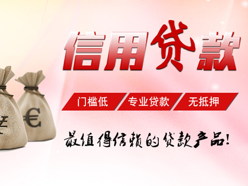 其他信用贷款